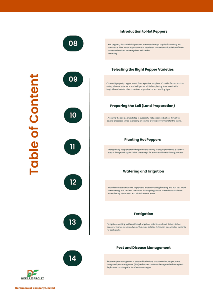 Holland Greentech Ghana-Table of Content 2